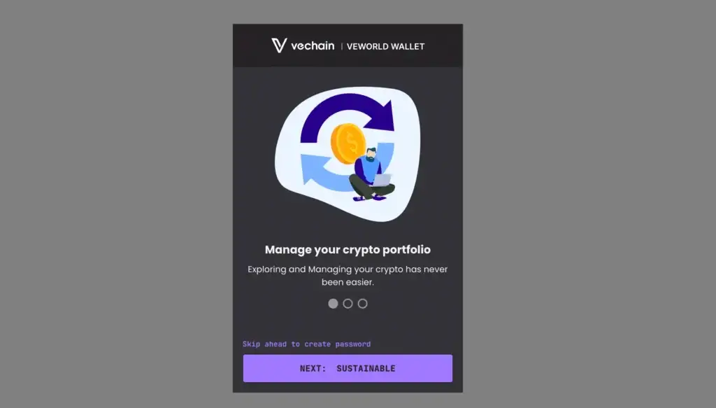 VeWorld wallet setup